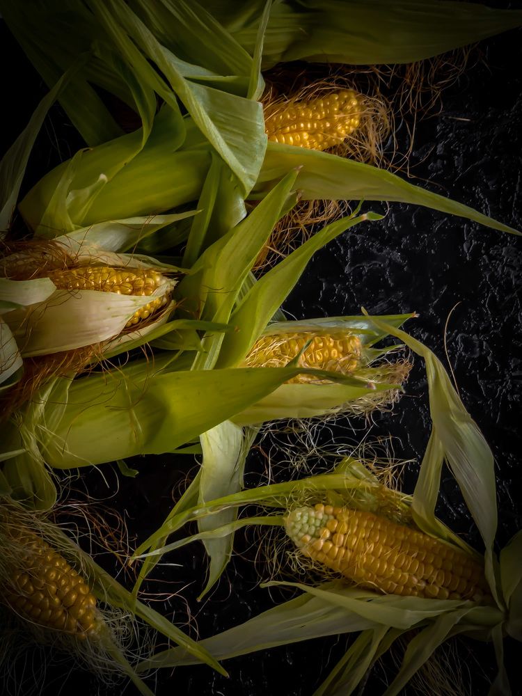 Photograph by Елена Башмакова