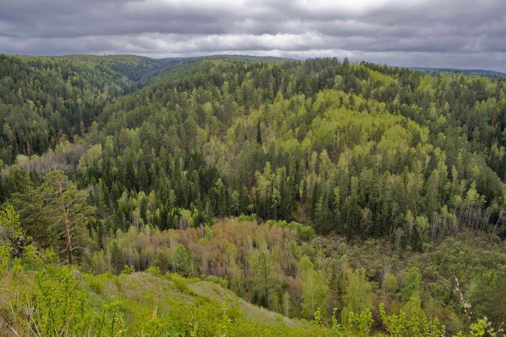 Photograph by Панюшкин Андрей