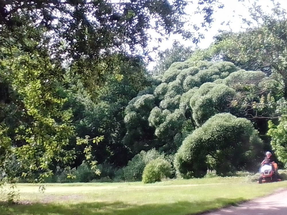 Photograph by Irina Mihailovskaya