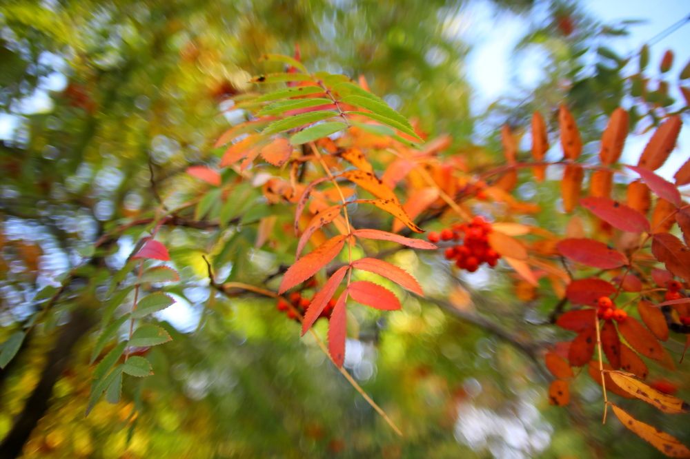 Photograph by Игорь Кад