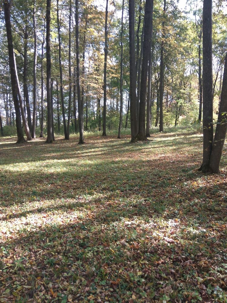 Фотография автора Кира Полотовская