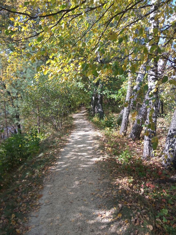 Фотография автора Кира Полотовская