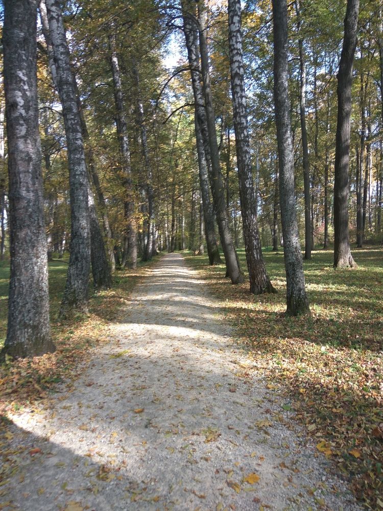 Фотография автора Кира Полотовская