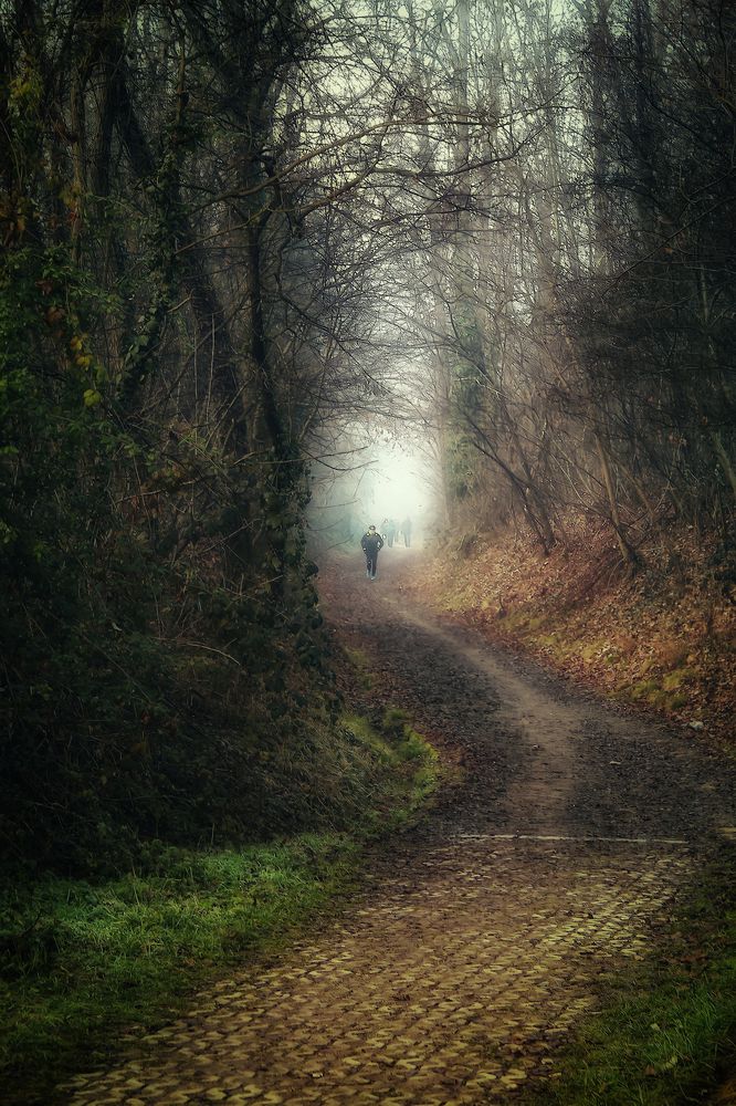 Photograph by Maria Cristina Artale