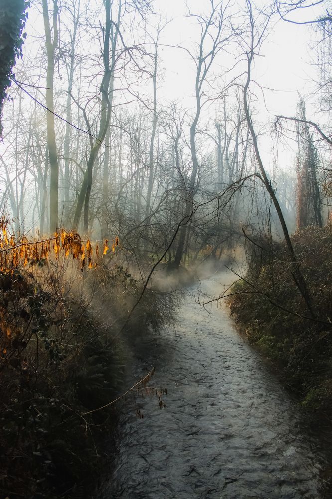 Photograph by Maria Cristina Artale