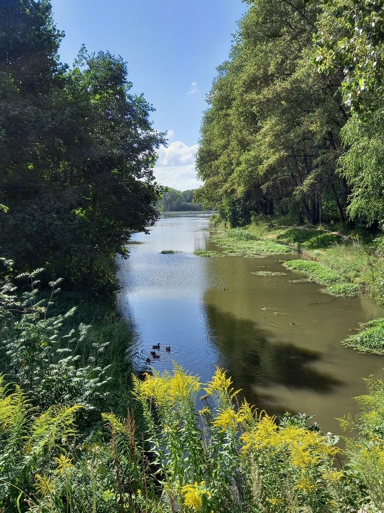 Photograph by Ольга