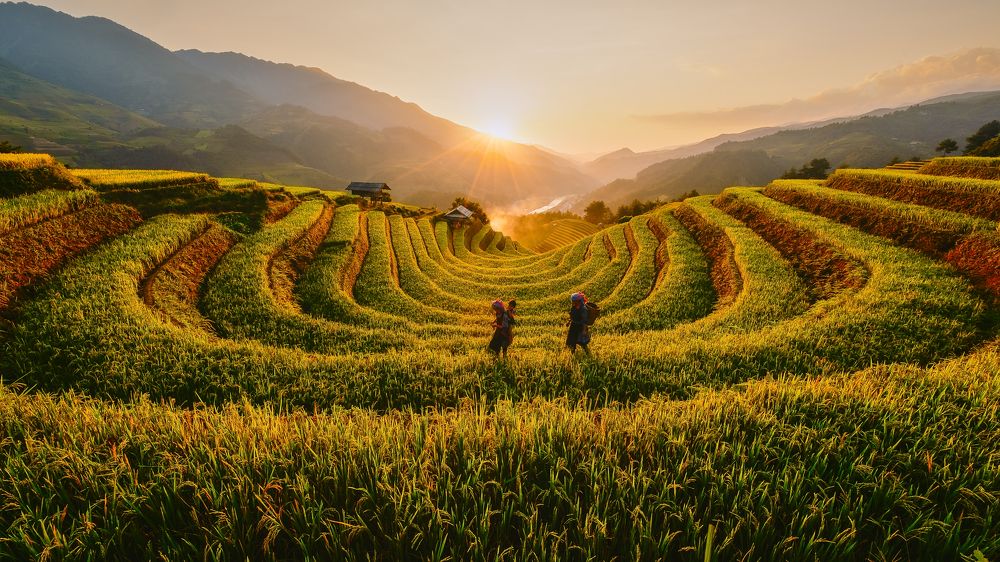 Photograph by Nguyen Ngoc Tuan