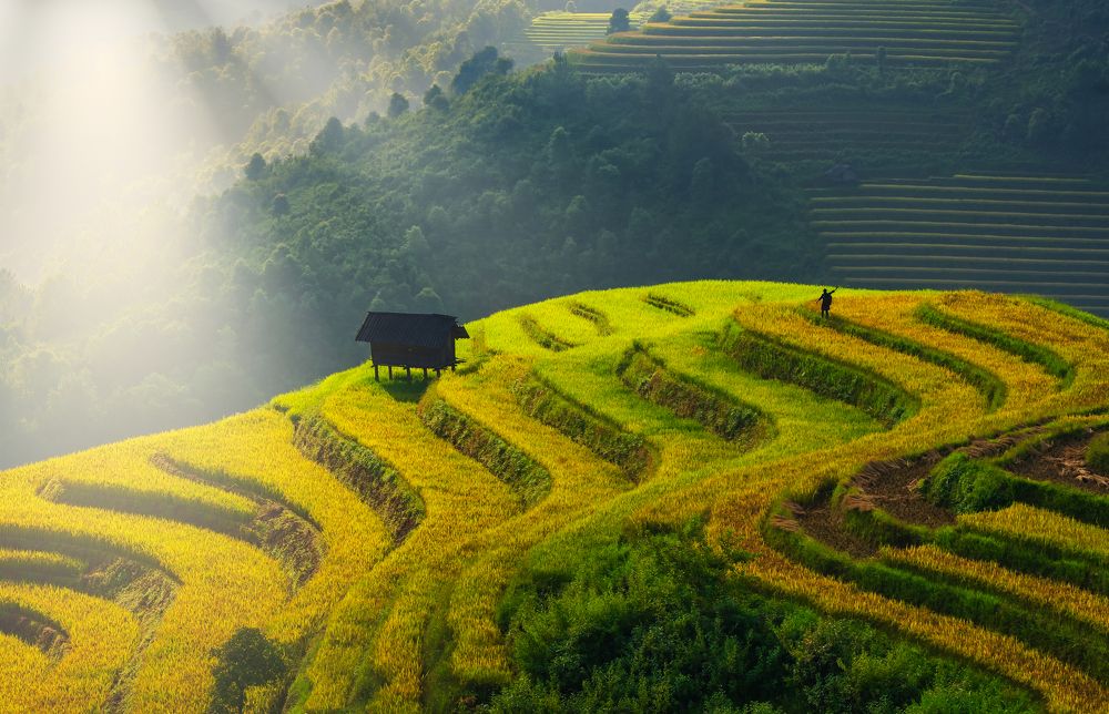 Photograph by Nguyen Ngoc Tuan