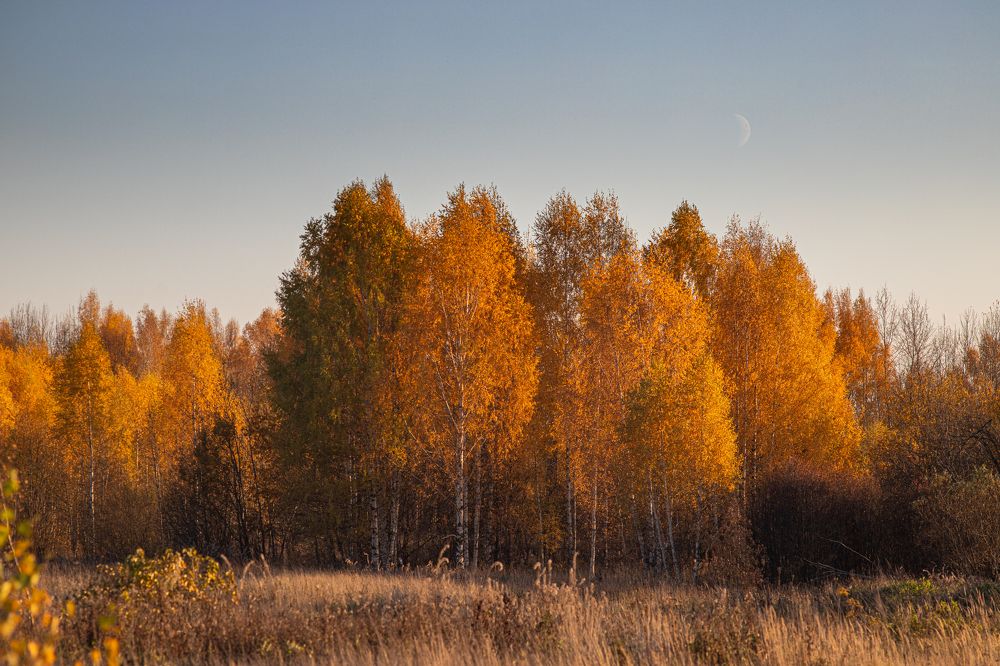 Photograph by Чернышёв Александр