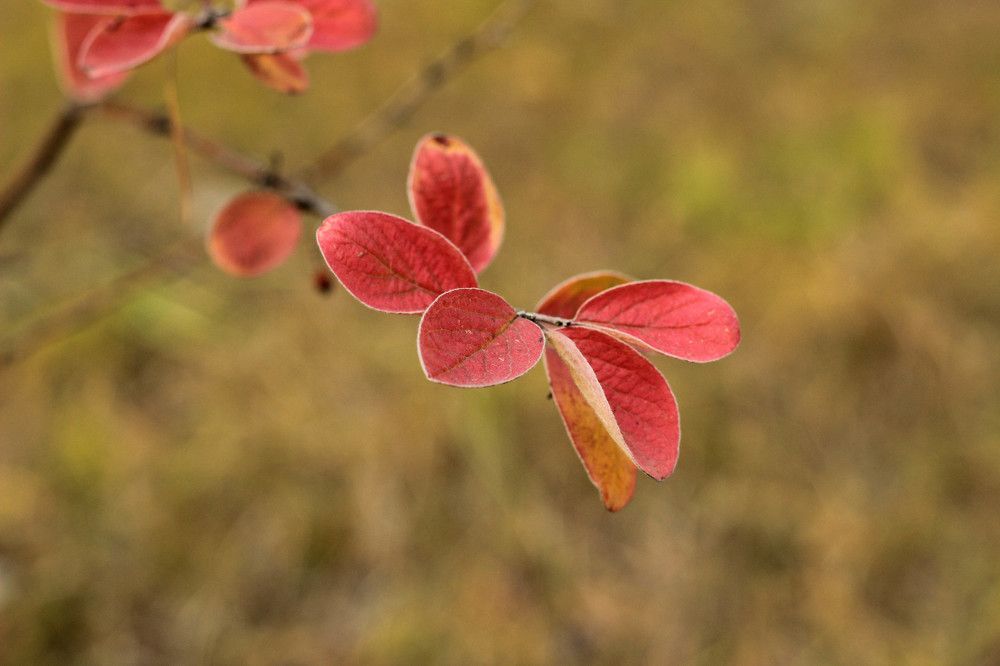 Photograph by Константин Искучеков