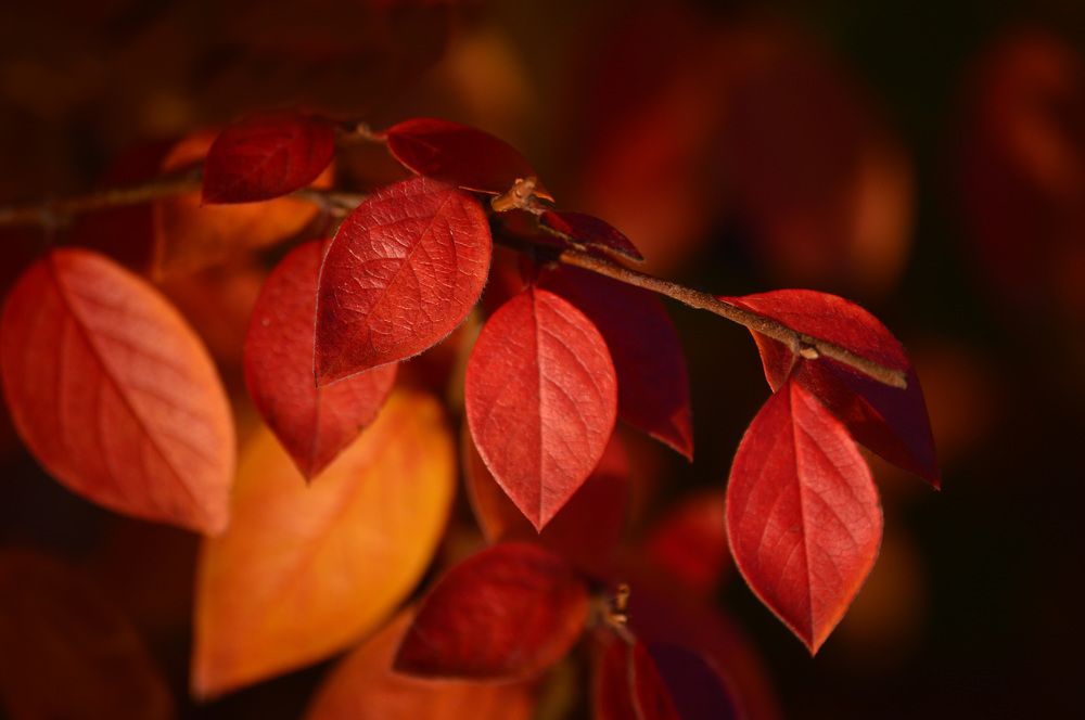 Photograph by Светлана Муравьева