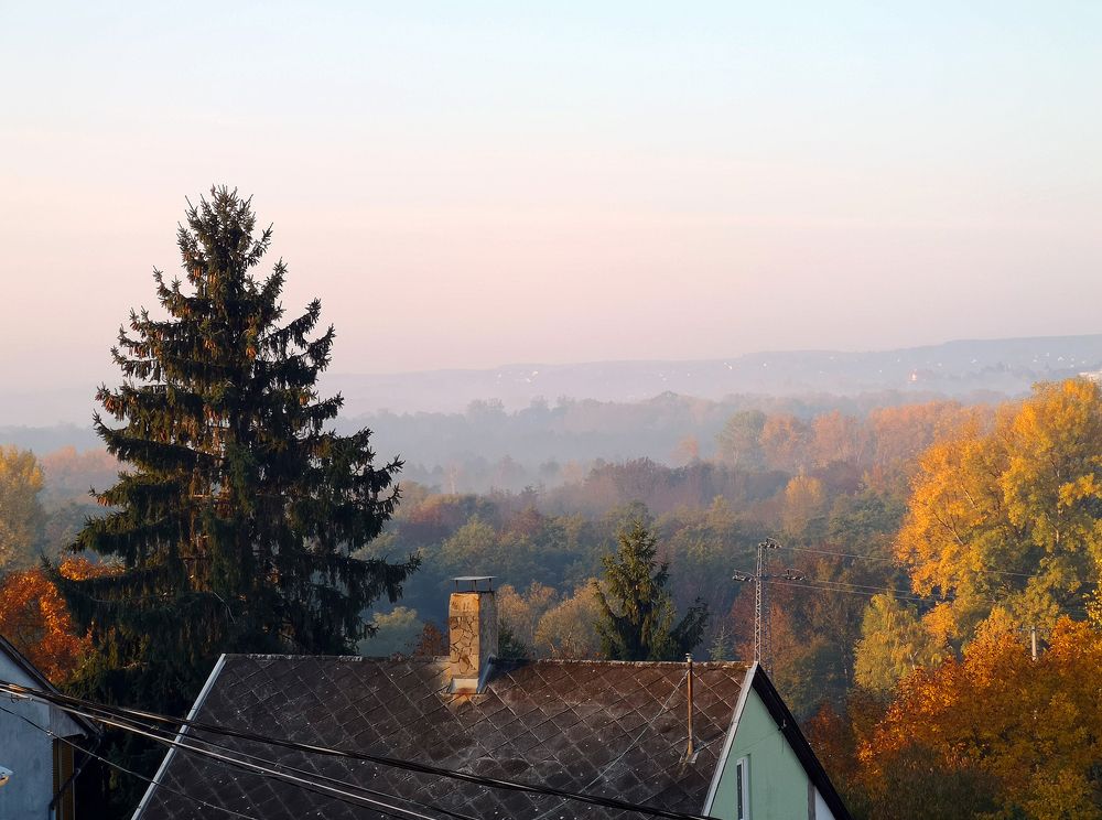 Photograph by Marina Razheva