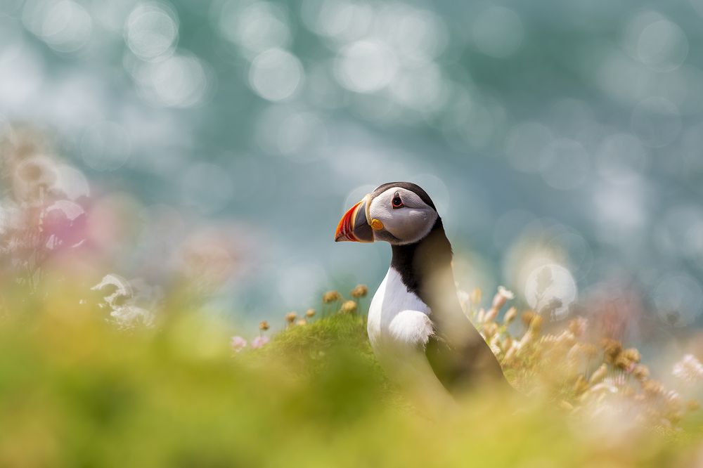 Photograph by Peter Krocka