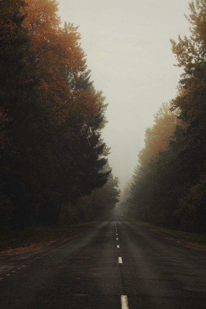 Photograph by Виктория Старовойтова