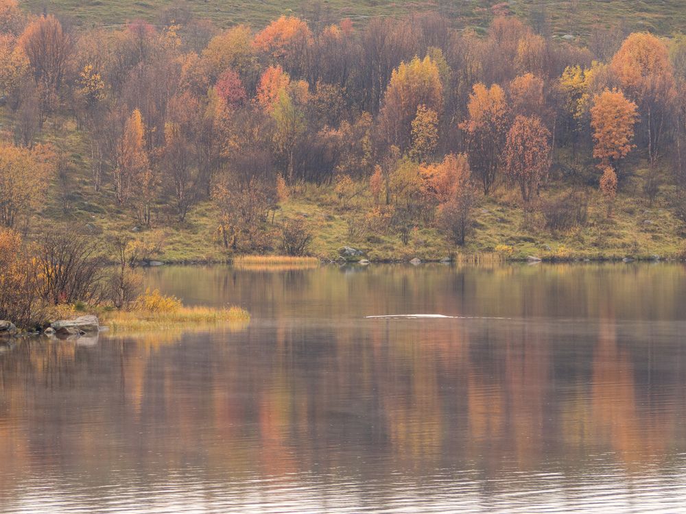 Photograph by Анна Шейко