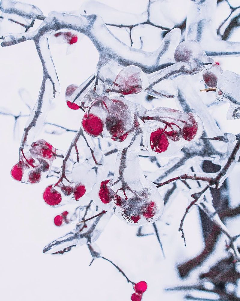 Photograph by Сергей Бойко