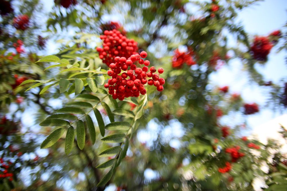 Photograph by Игорь Кад