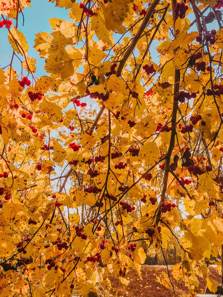 Photograph by Сергей Бойко