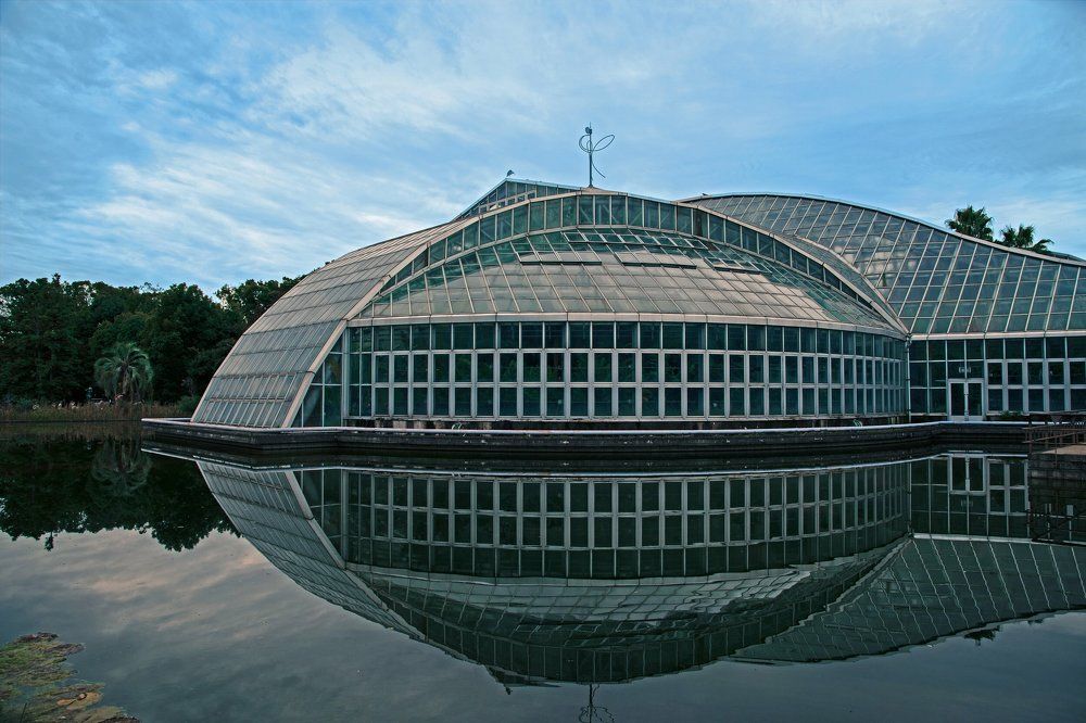 Photograph by mypure heart