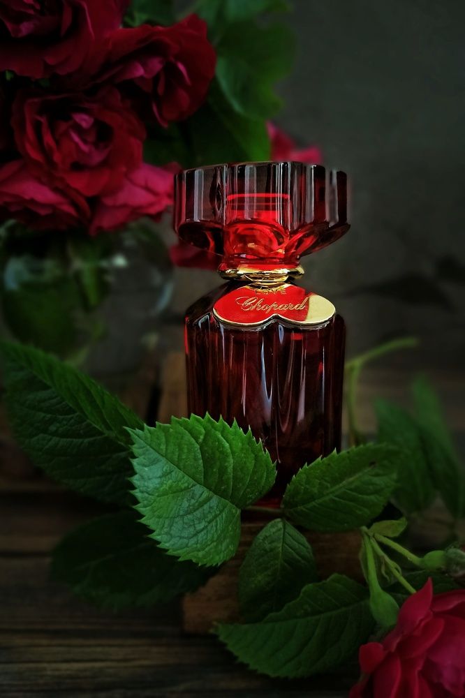 Photograph by Дина Полухина