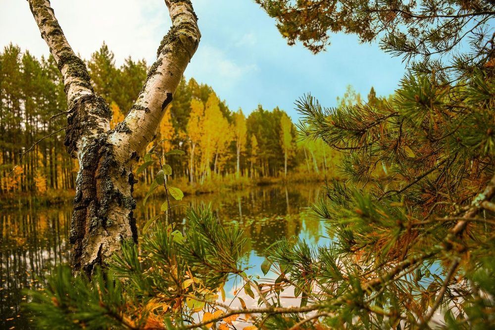 Photograph by Шафиева Ирина