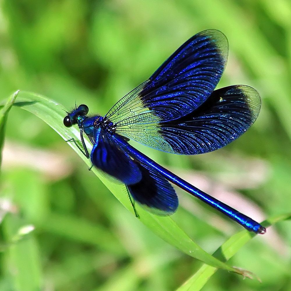 Photograph by Игорь Чеботарёв