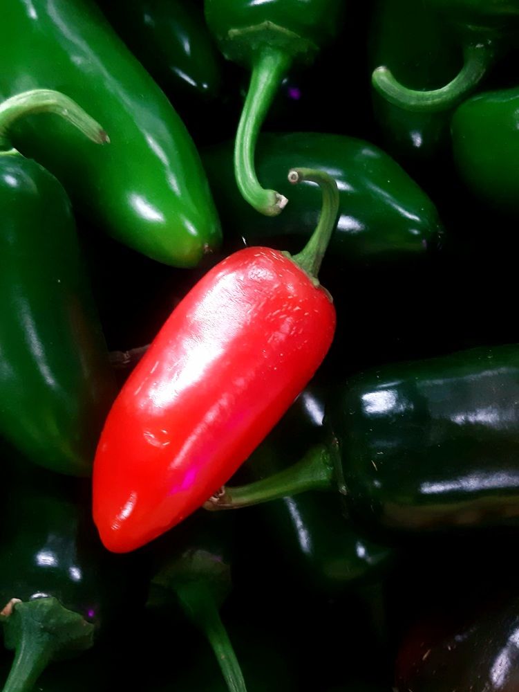 Photograph by Анна Авилочкина