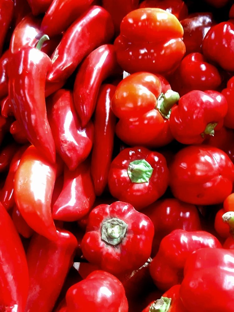 Photograph by Анна Авилочкина