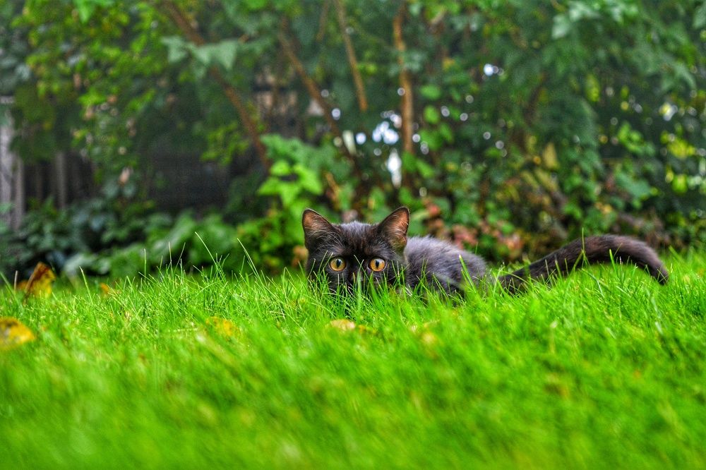 Photograph by Наталья Светлова