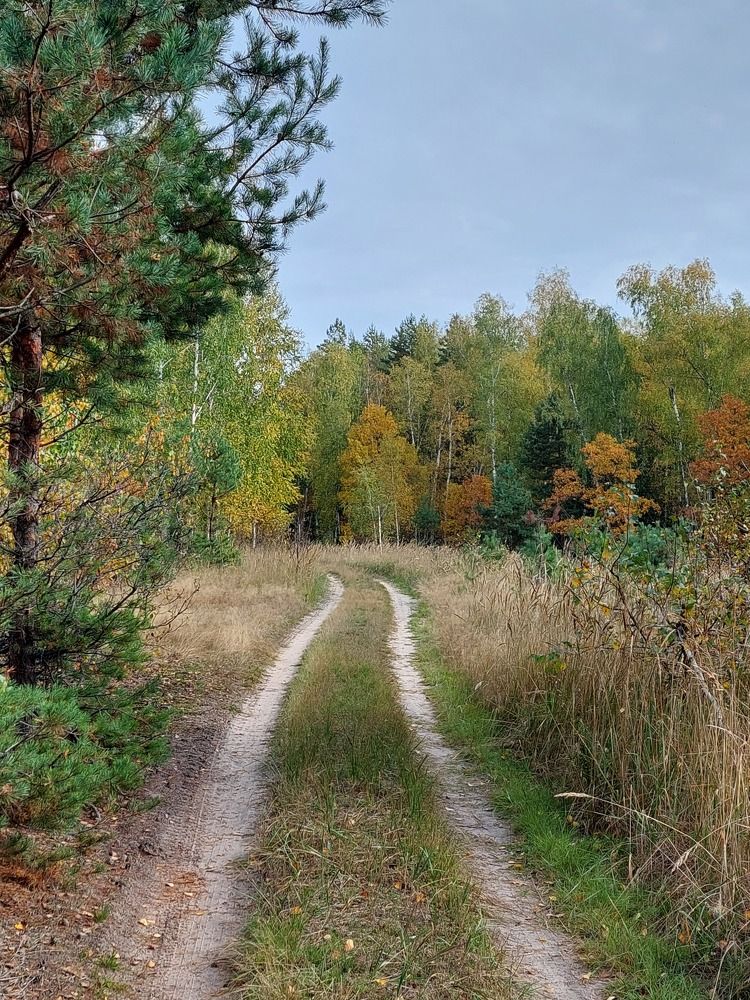 Photograph by Валентина Назина