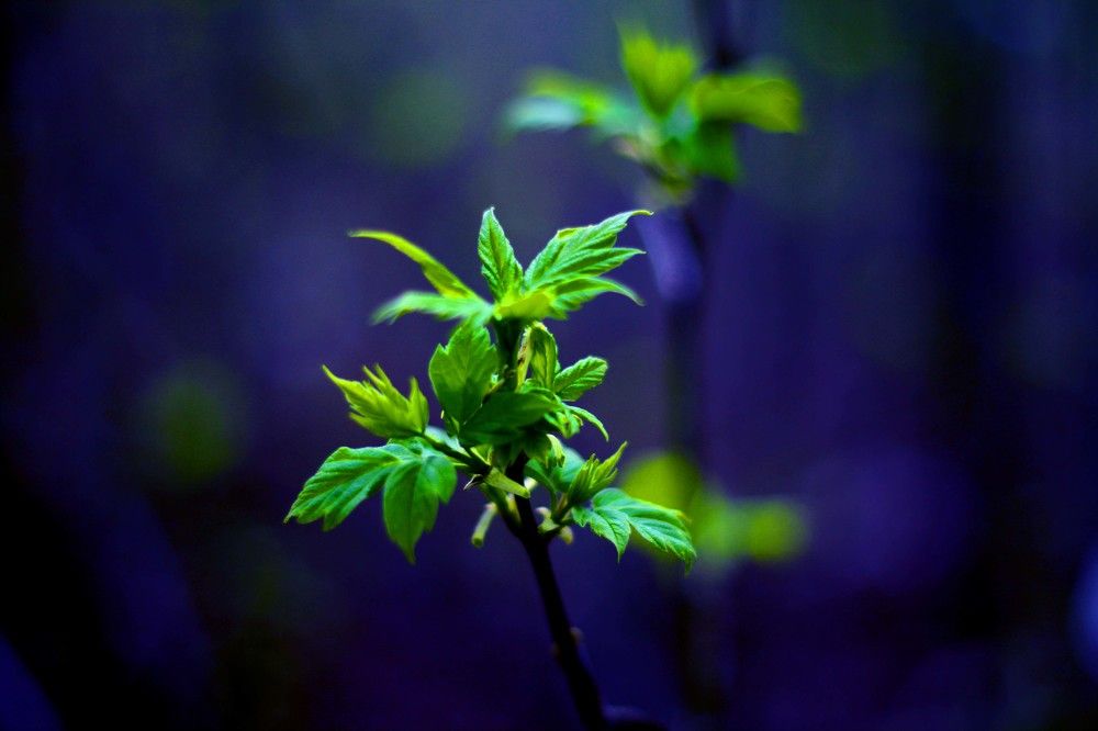 Photograph by Наталья Сазонова