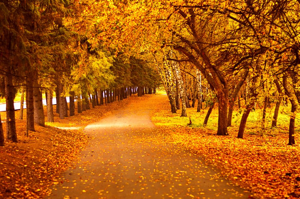 Photograph by Светлана Вербицкая