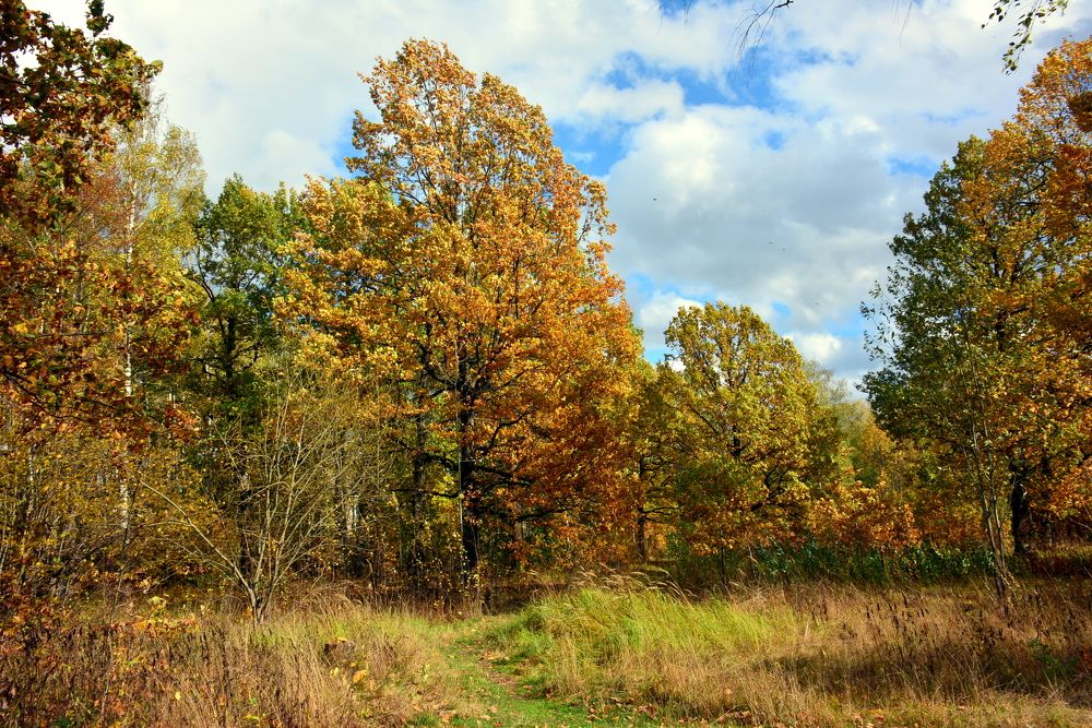 Фотография автора Юрий Рудый