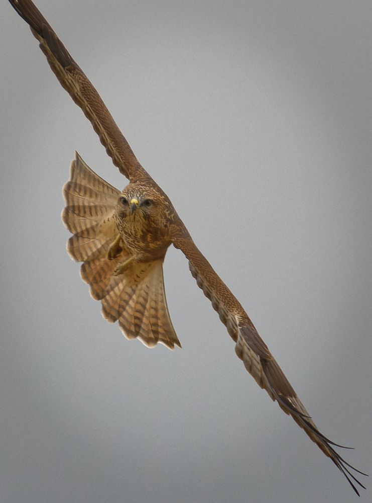Photograph by Алексей Волжский