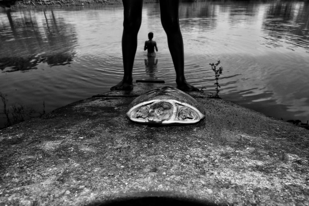 Photograph by Sanjeev Kumar