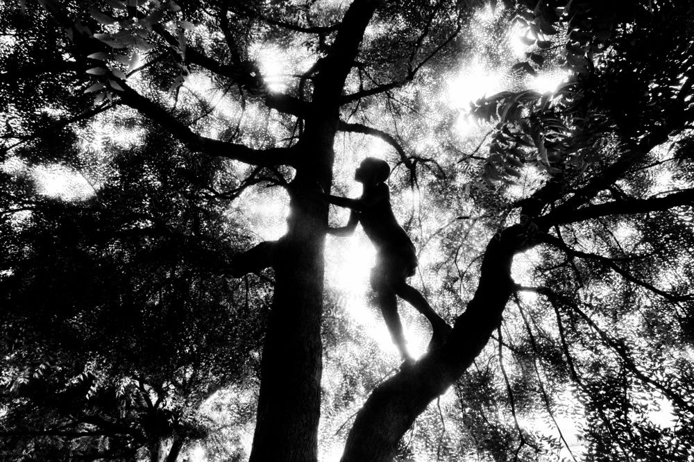 Photograph by Sanjeev Kumar