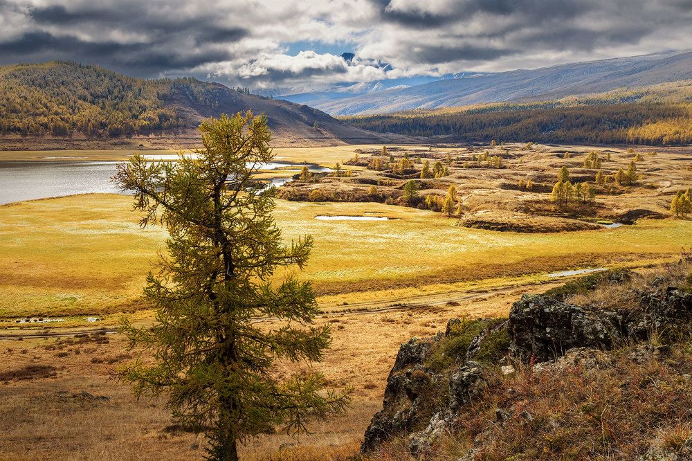 Photograph by Морозов Сергей