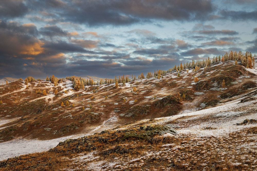 Photograph by Морозов Сергей