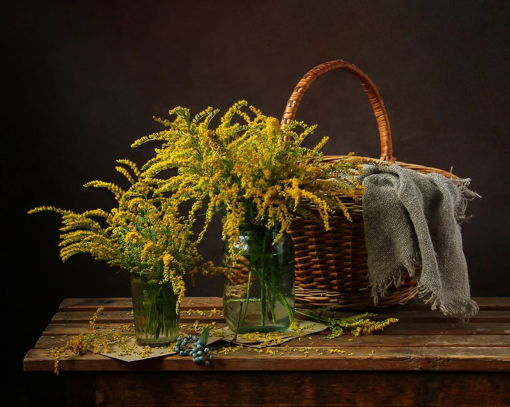 Фотография автора тамара шмакова