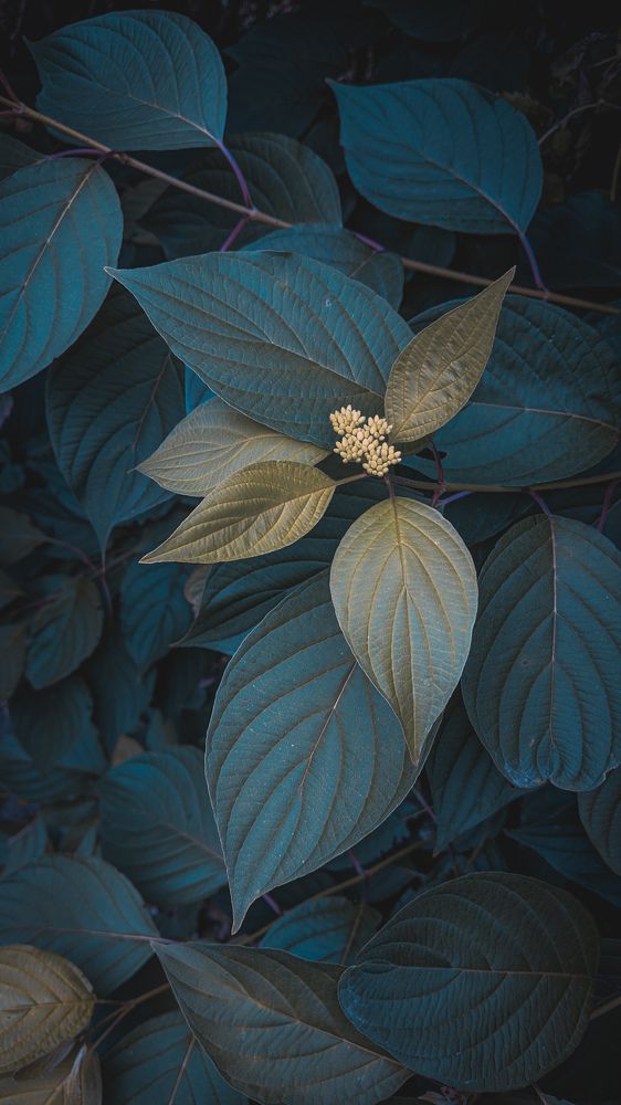 Photograph by Дарья Макаревич