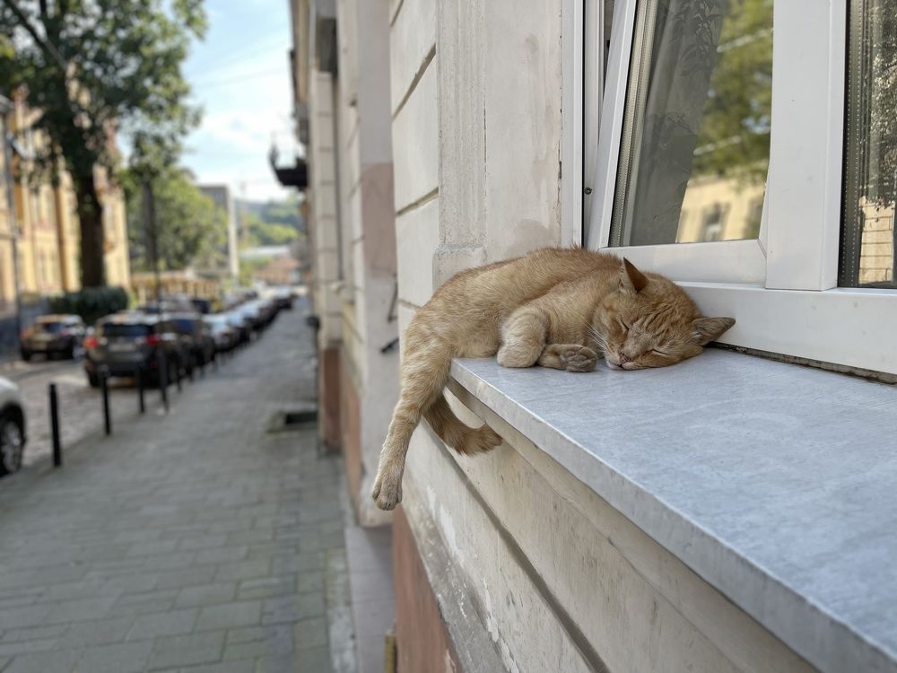 Photograph by Светлана Ткаченко