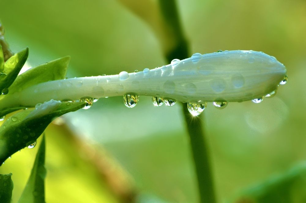 Photograph by Наталья Иванова