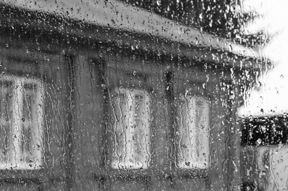 Photograph by Елена Щитова