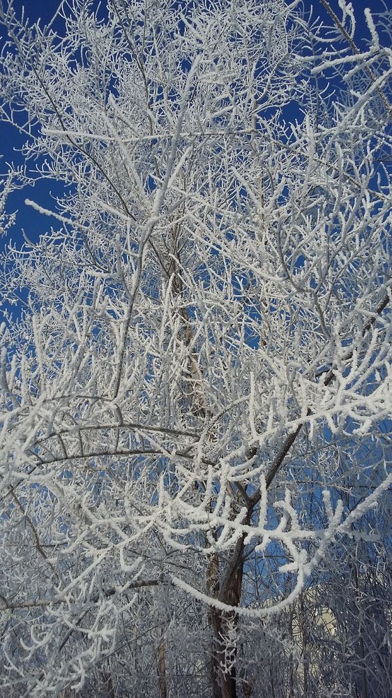 Photograph by Елена Горева