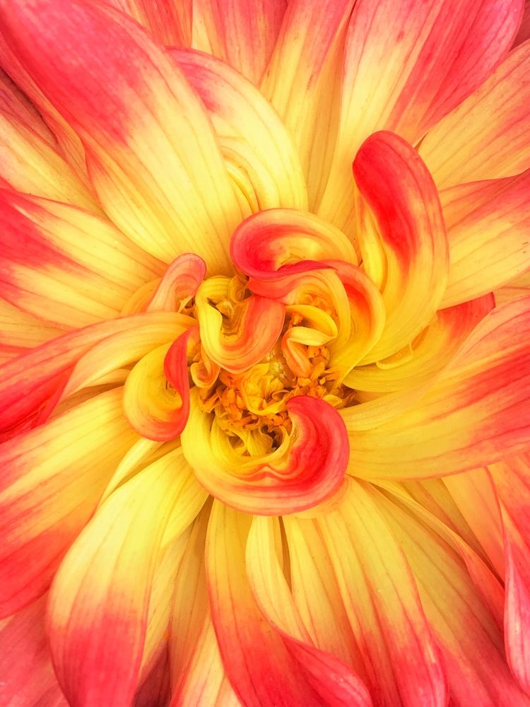 Photograph by  Ксения