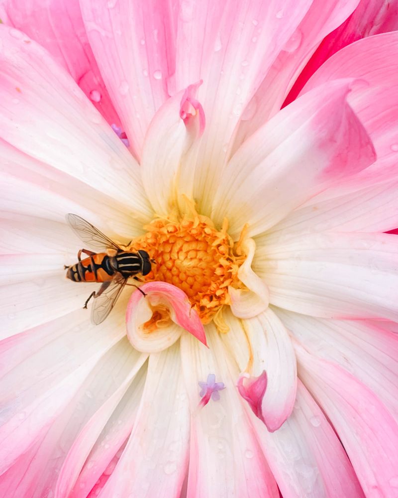 Photograph by  Ксения