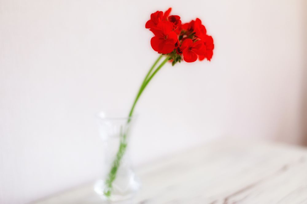 Photograph by Виталий Са