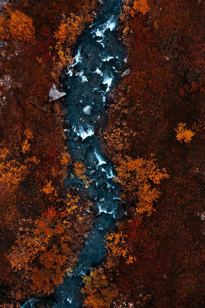 Photograph by Даниил Рождественский