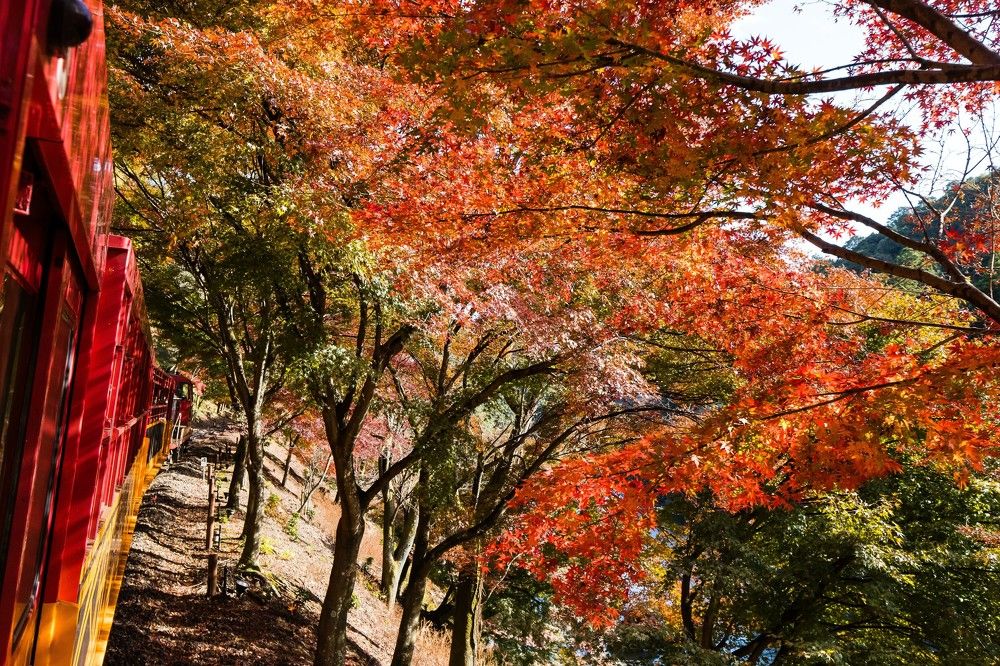 Photograph by Junya Higashi