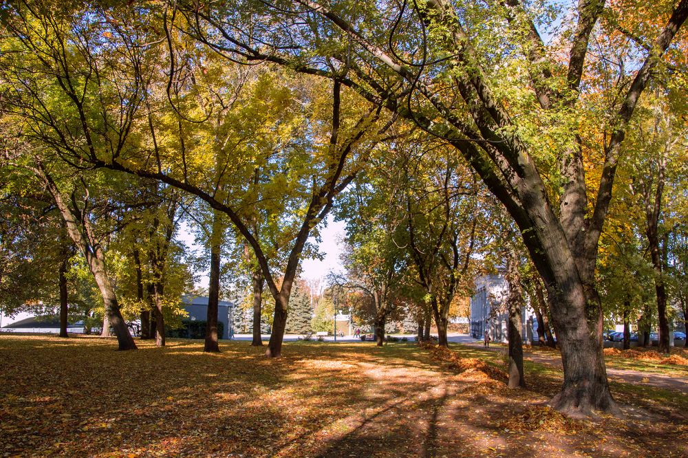 Photograph by Larisa Shuglya